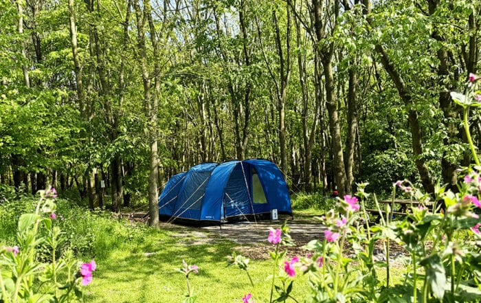 New Farm Holidays - Booking a Staycation?
