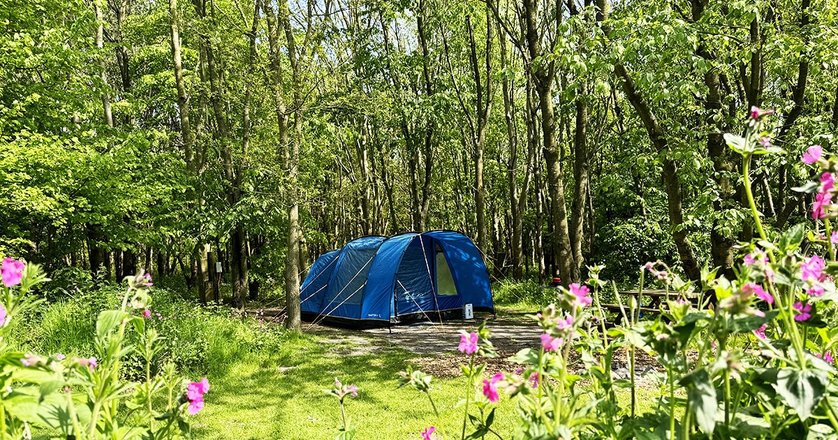 Booking a Staycation for your family or friends?