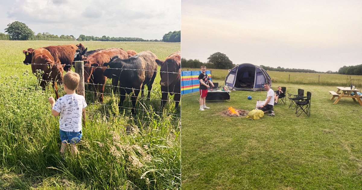 June Escapes at New Farm Holidays: Real Guest Experiences in Lincolnshire