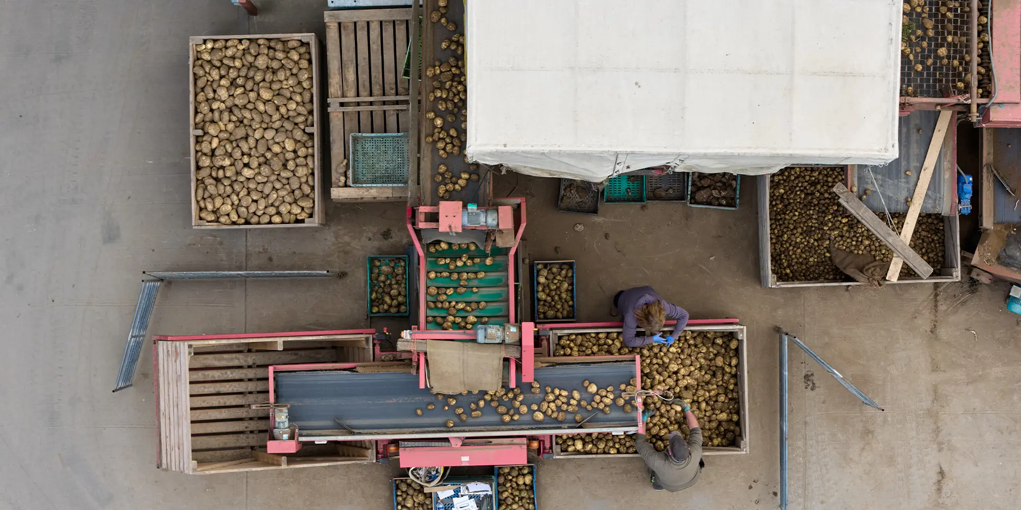 New-Farm-Organics-Suppliers of Organic Produce New Farm Organics - Lincolnshire Organic Farm; What We Produce